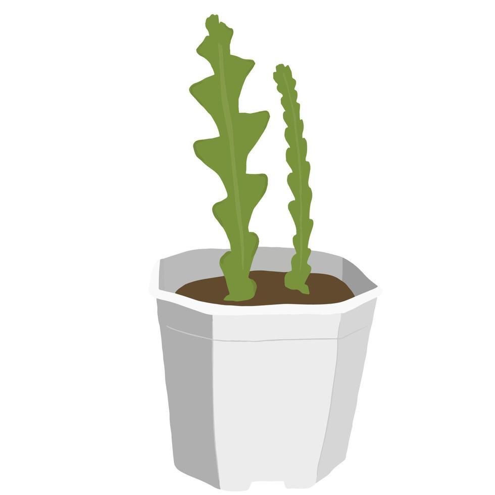 Fishbone-Kaktus-Zeichnung im weißen Topf, Pflanzenvektor. Disocactus anguliger Illustration, Zimmerpflanzenvektor für Dekor. vektor