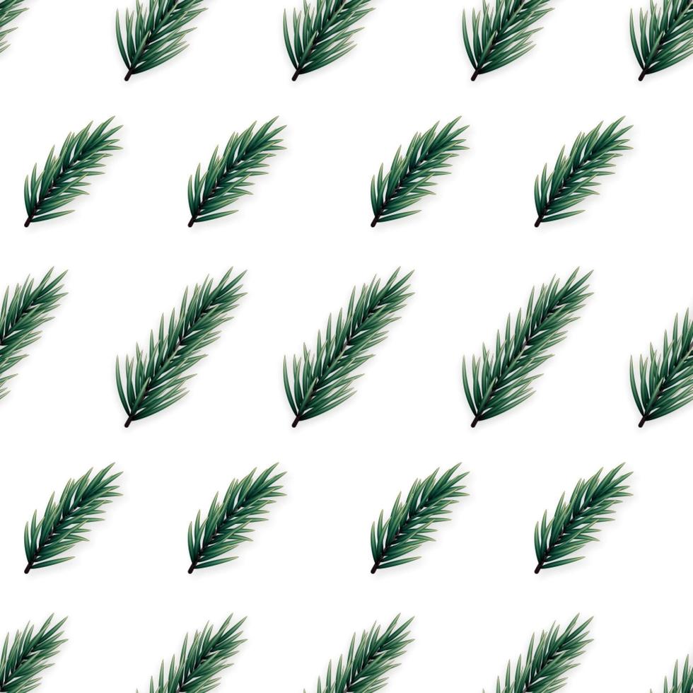 minimalistisk sömlös mönster med realistisk gran grenar på vit bakgrund. vektor