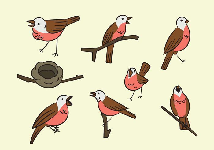 Free Cartoon Nightingale Vogel vektor