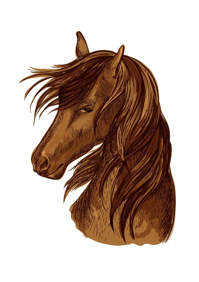 häst huvud skiss av brun kapplöpningshäst vektor