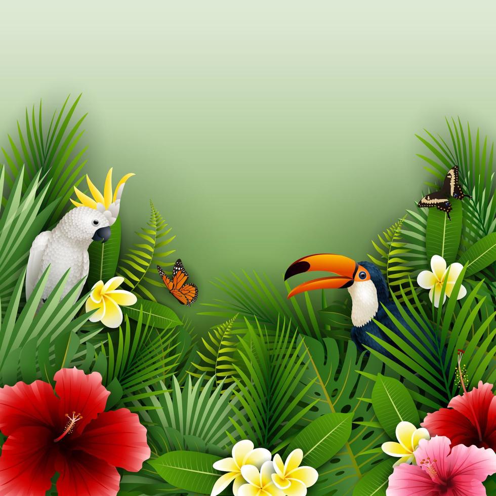 Sammlungsset für tropische Pflanzen und Vögel vektor