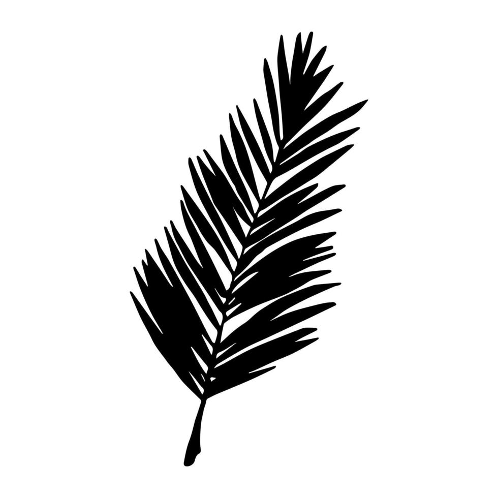 enkel tropisk lövillustration. handritad vektor clipart. botanisk doodle