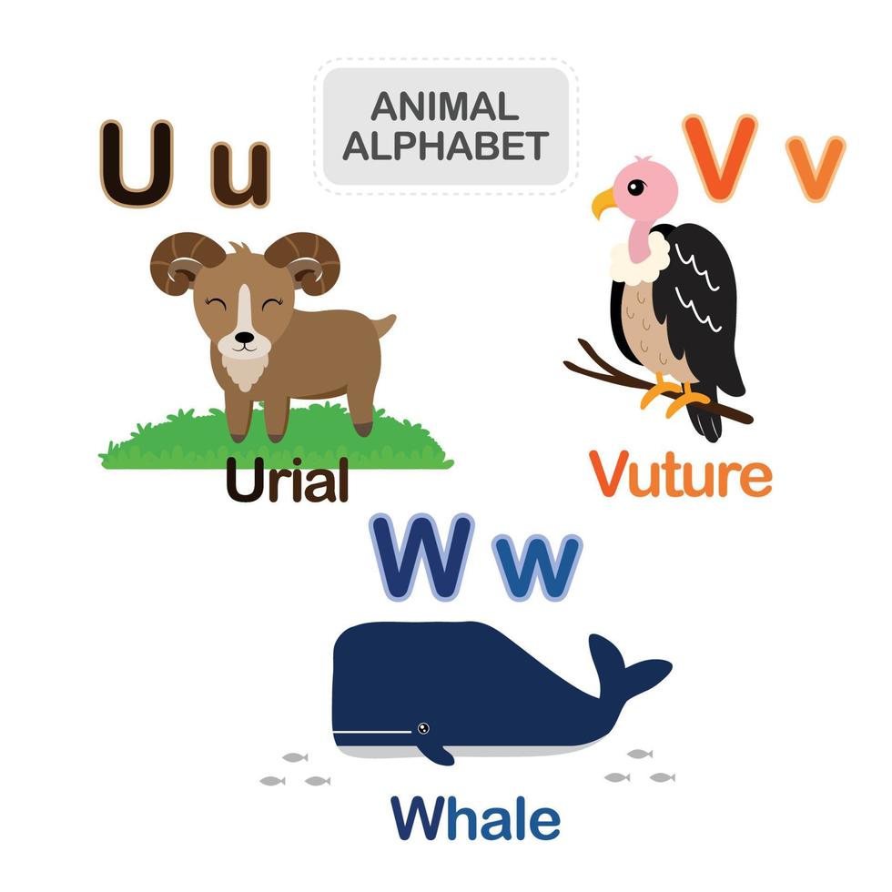 söt djur- alfabet från brev u till w vektor