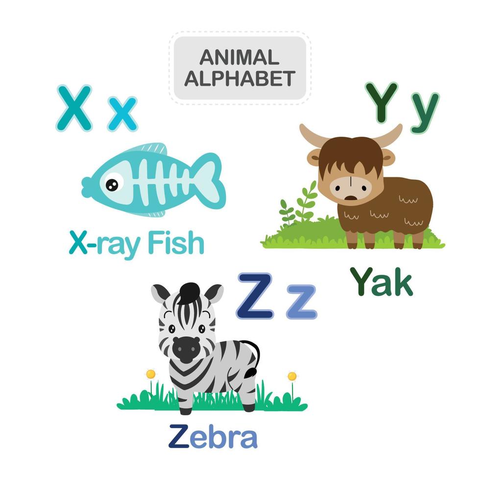 söt djur- alfabet från brev x till z vektor