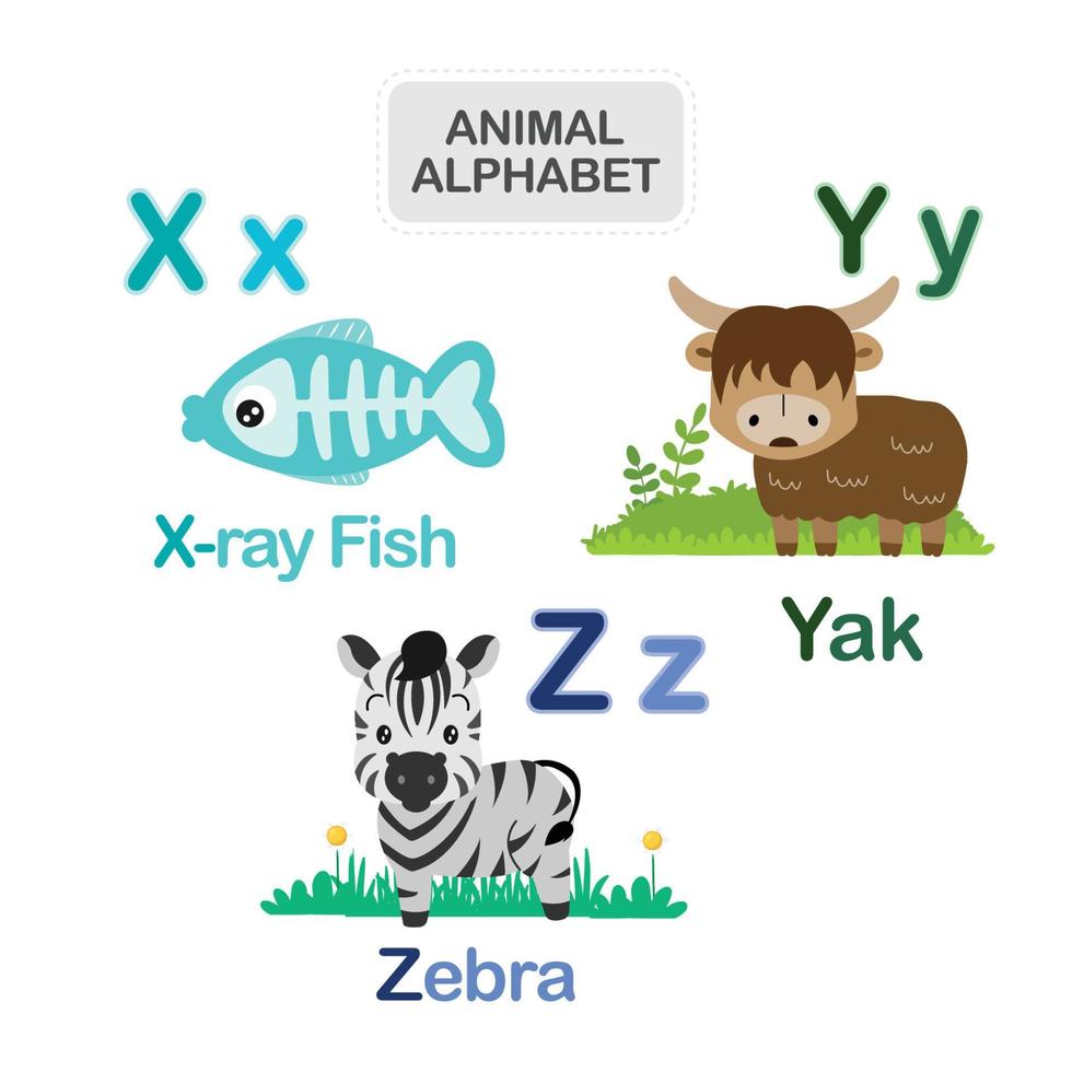 süßes tieralphabet von buchstabe x bis z vektor