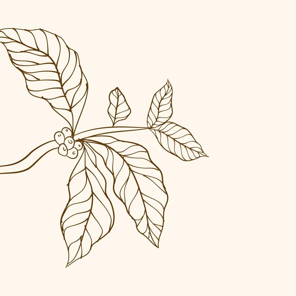 kaffe växt gren med blad. hand dragen kaffe gren. kaffe bönor och löv. träd illustration. kaffe växt. kaffe träd vektor. vektor illustration av kaffe gren. gren med löv.