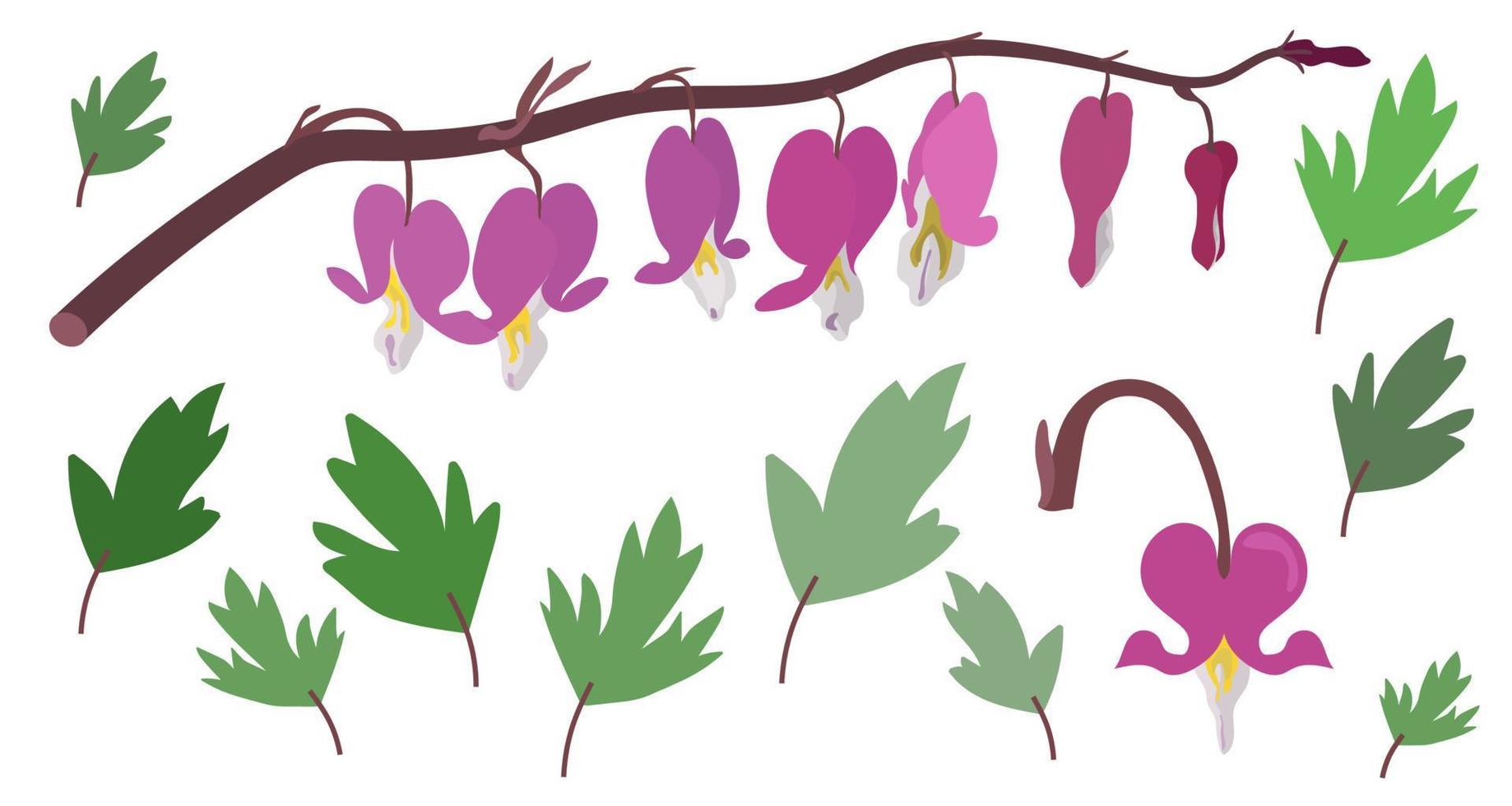 redbud blommor av de blödning hjärta platt vektor illustration isolerat på vit bakgrund