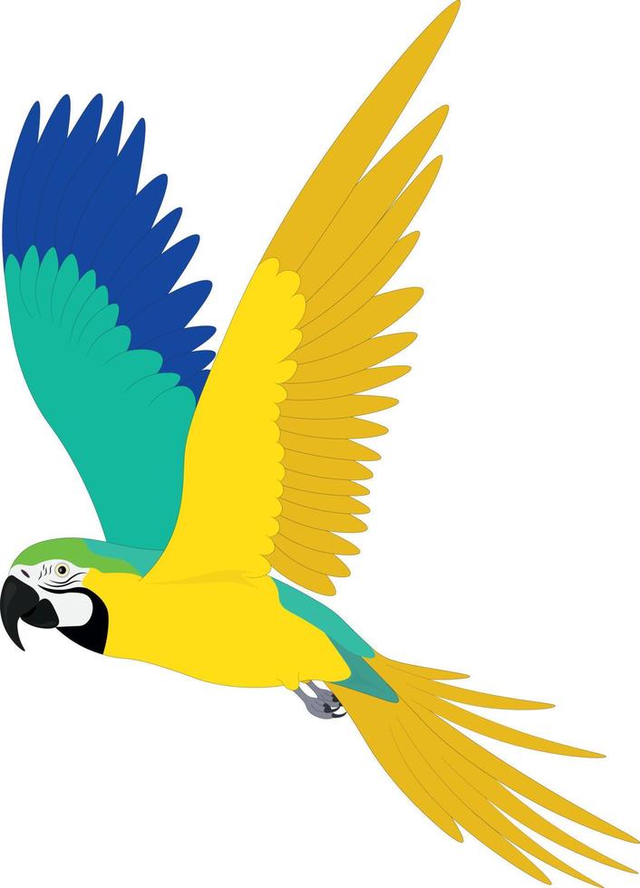 blå gul grön ara papegoja i rörelse vektor illustration
