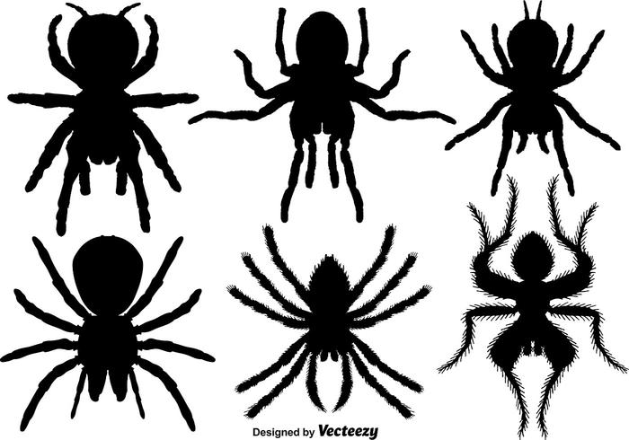 Vector Set von Tarantula Icons