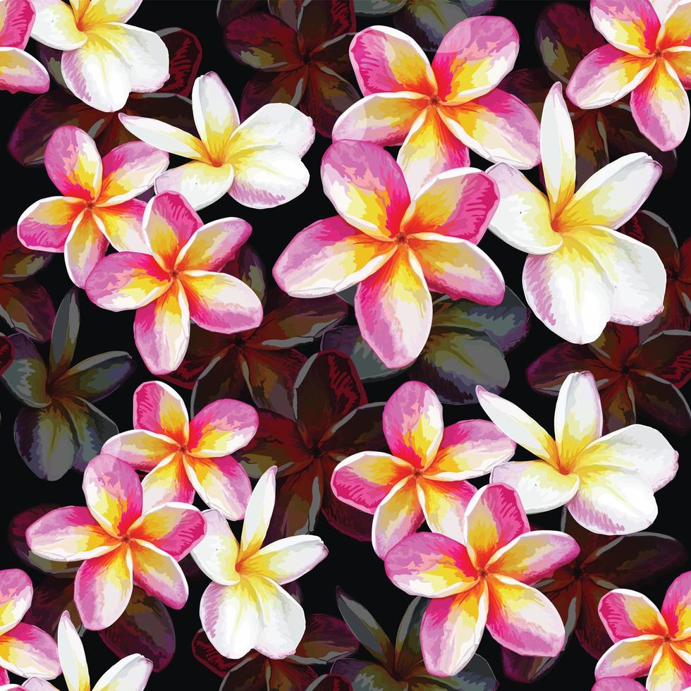 Pastell Frangipani Blumen vektor