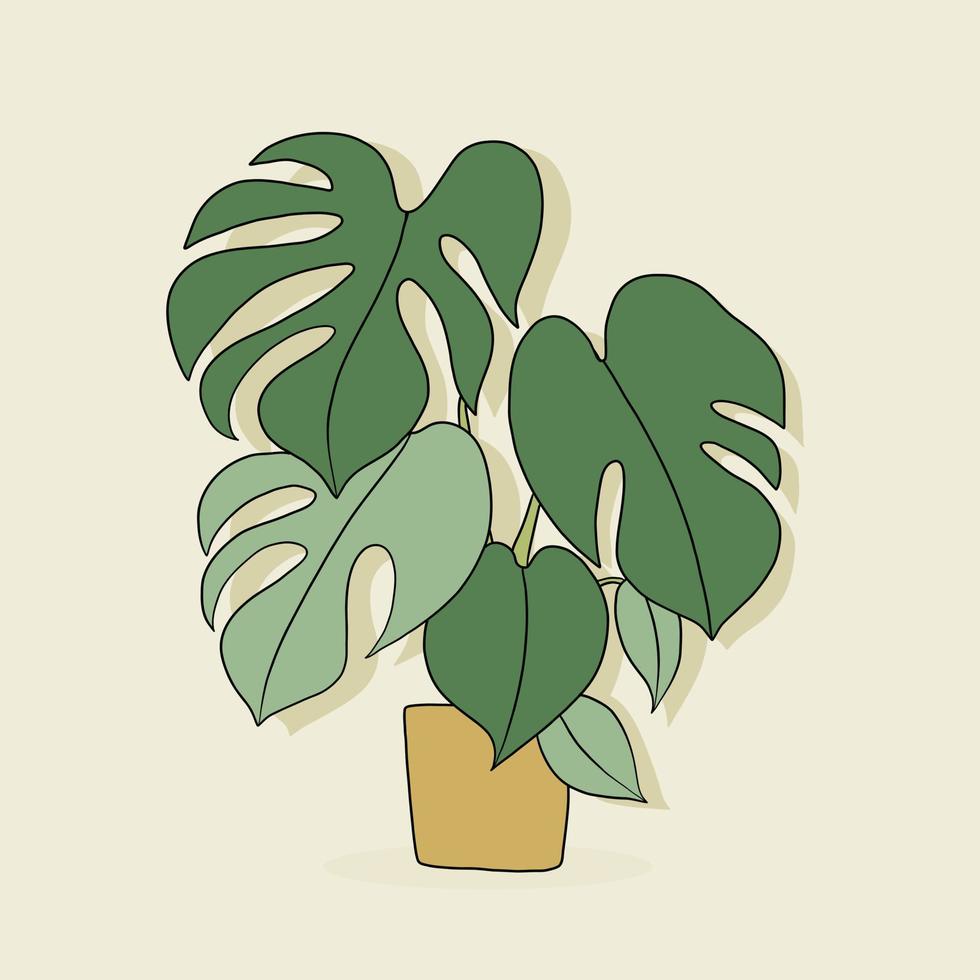 enkelhet monstera växt frihandsteckning platt design. vektor