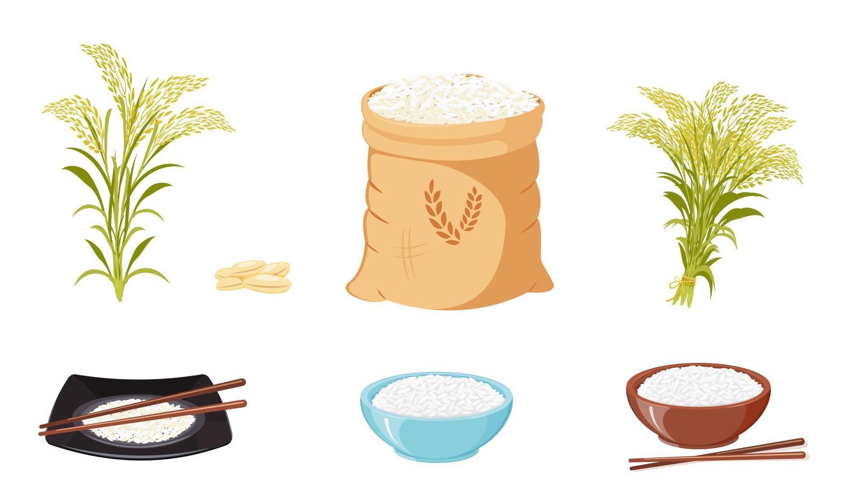 ris Produkter, frön och använda sig av av färdiga beskära. ris kärvar och stjälkar. lagring av spannmål i duk väska. vektor