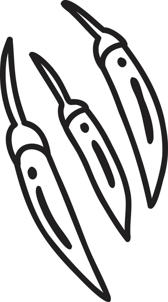 hand dragen peppar illustration vektor