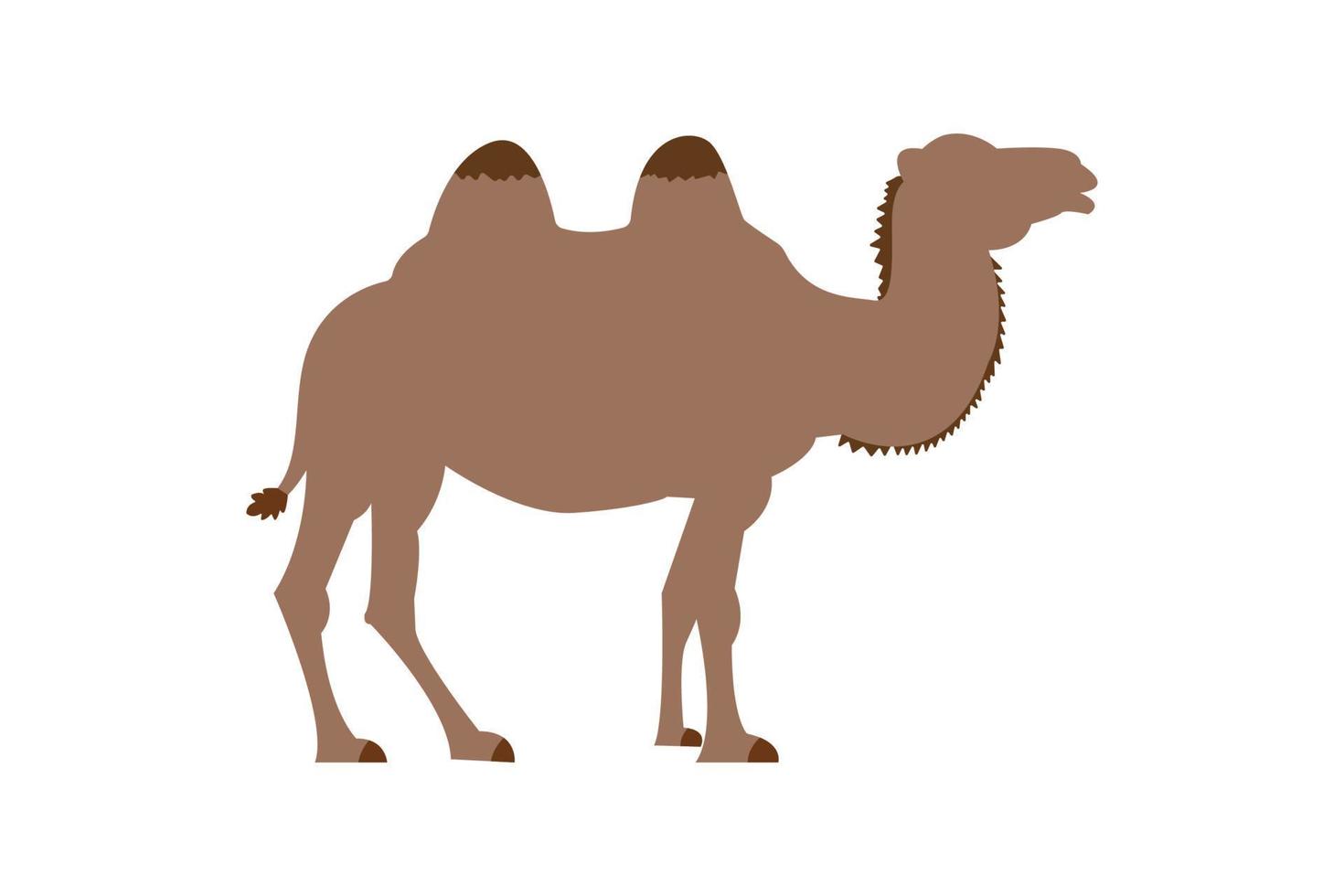 wilder Wüstenkamel-Tiervektor. Cartoon Seite Vektor Illustration Grafikdesign.