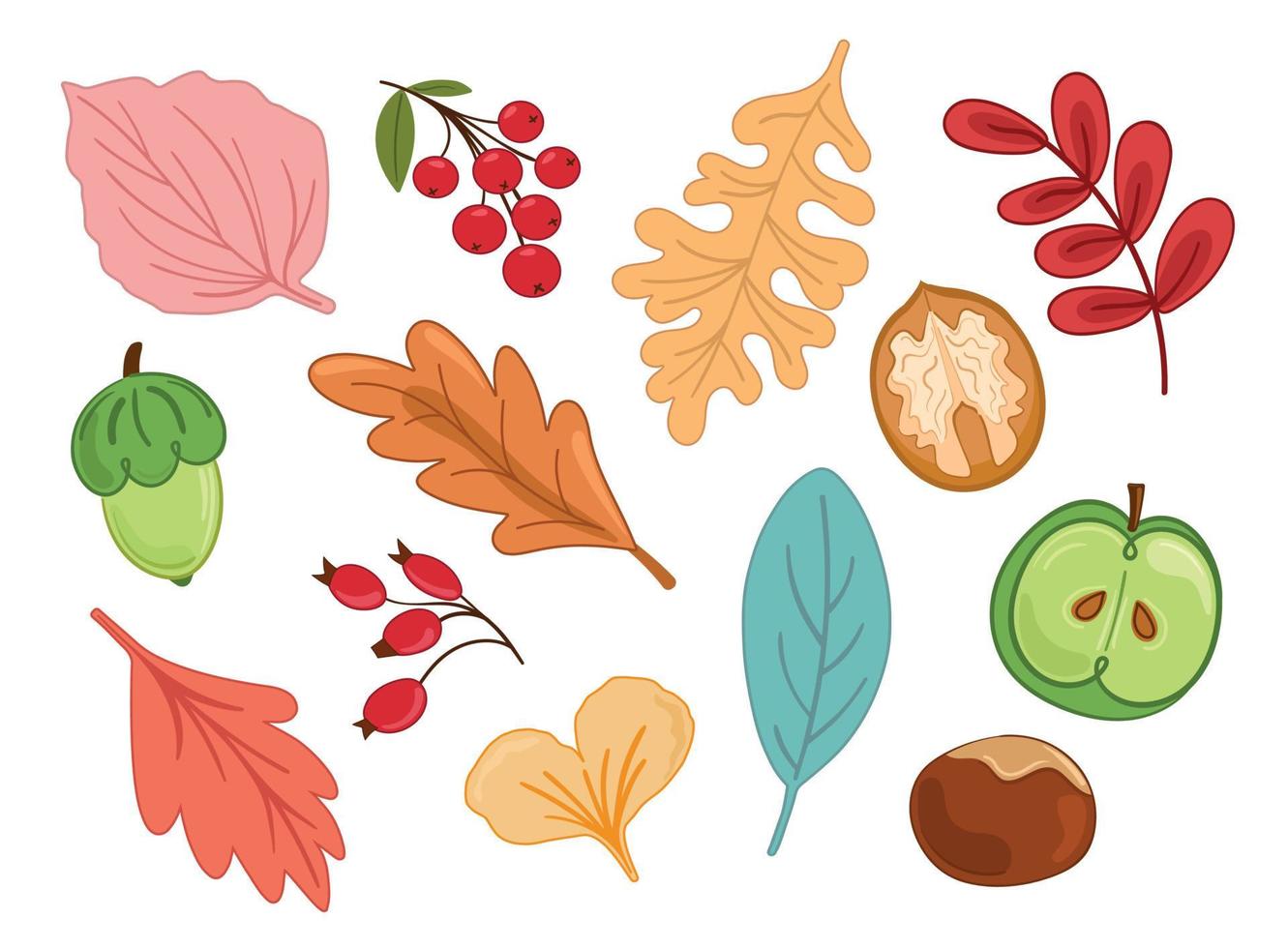 Vektorgrafik Herbstset mit Blättern, Viburnum, Hagebutte, Nuss, Kastanie, Apfel, Eichel vektor
