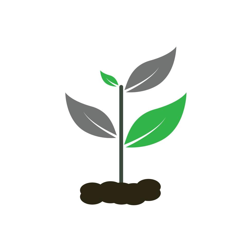 plant icon samen gedeihen im boden vektor