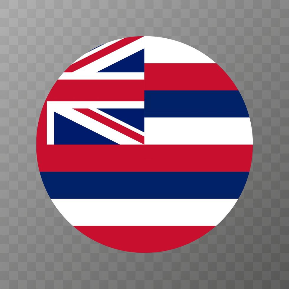 hawaii stat flagga. vektor illustration.