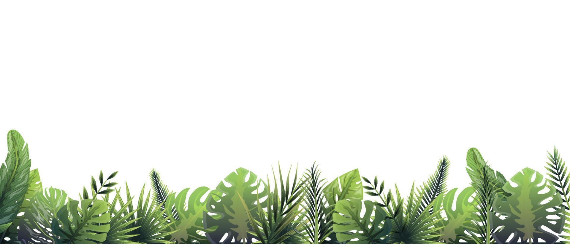 grüner Farnhintergrund nach Regen. Regenwald horizontale Dekoration bei Regenwetter floraler botanischer Hintergrund elegante hellgrüne Farnblätter, wilder Naturrasen in Vektorfarben. vektor