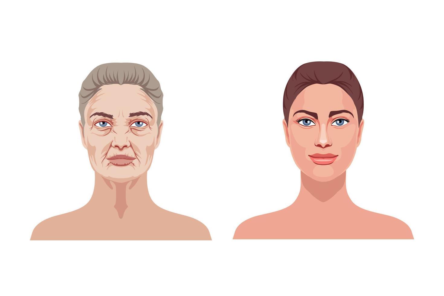 äldre och ung kvinna. skön flicka med slät och tonad ansikte och gammal med rynkor vektor