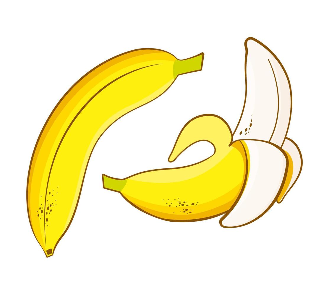 Banane gereinigt geschält. reife gelbe banane mit schwarzen punkten halb geschält ganz vom baum gepflückt frisch hell bio vitamin frucht süß sommer exotisch vegan tropische flache vektor delikatesse.