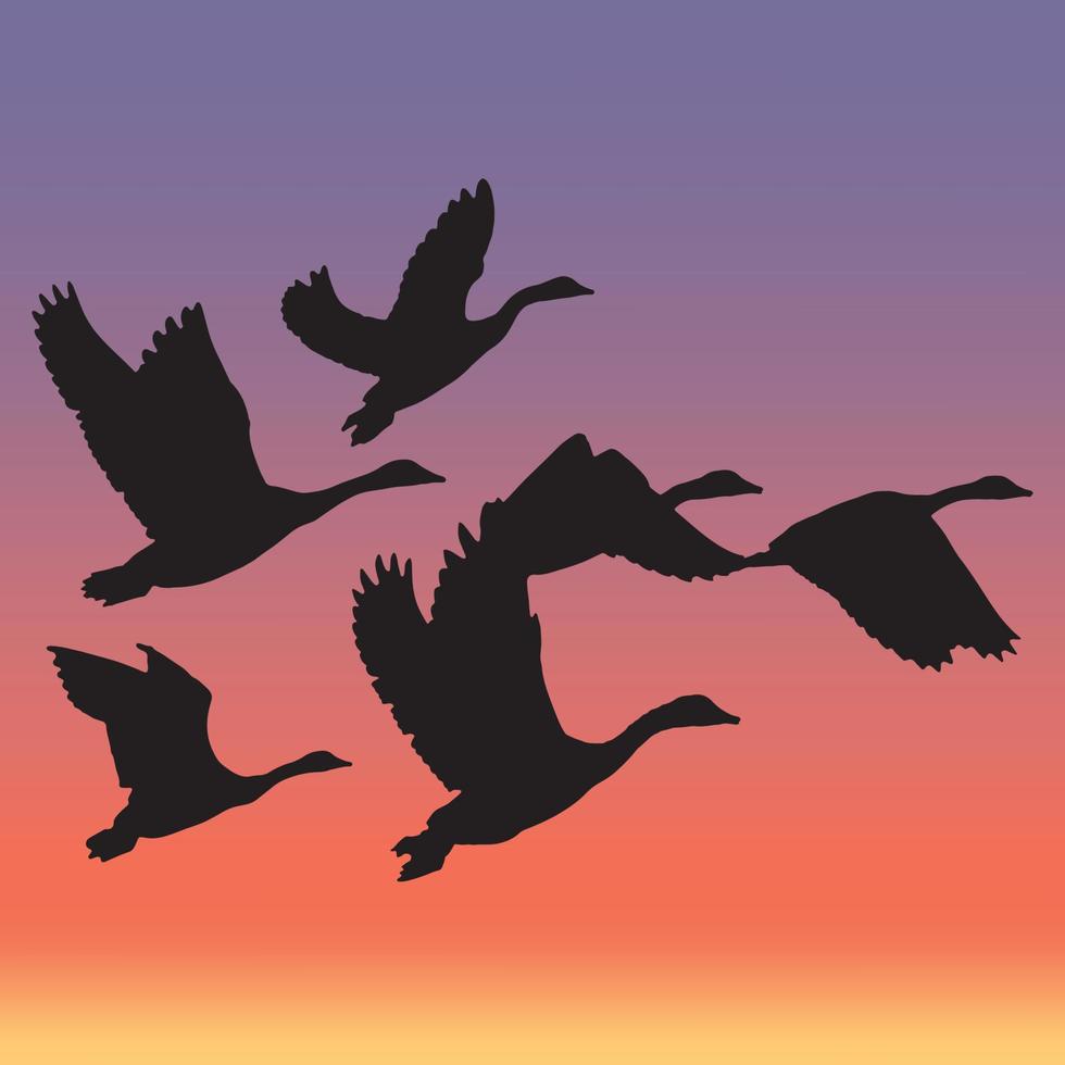 Silhouetten von fliegenden Zugvögeln vektor