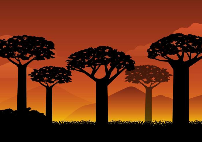 Free Silhouette Baobab Hintergrund Vektor