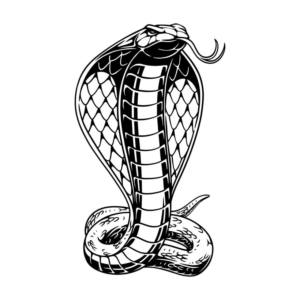 Vektor-Illustration Kobra steht hoch vor einem zentrimetrischen Hintergrund Schwarz-Weiß-Design vektor