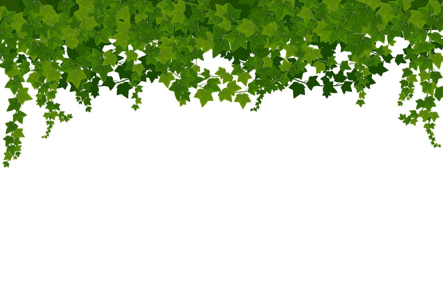 Efeu Lianen Hintergrund mit grünen Blättern, Rahmen vektor