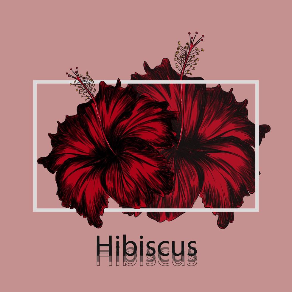 röd hibiskus blomma. rosa bakgrund och vit gräns hand dragen vektor illustration