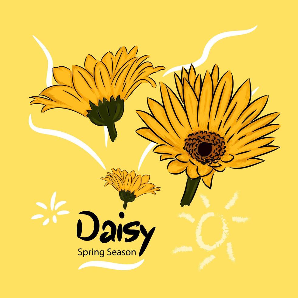 vektor blomma illustration gul daisy med daisy vår säsong text.