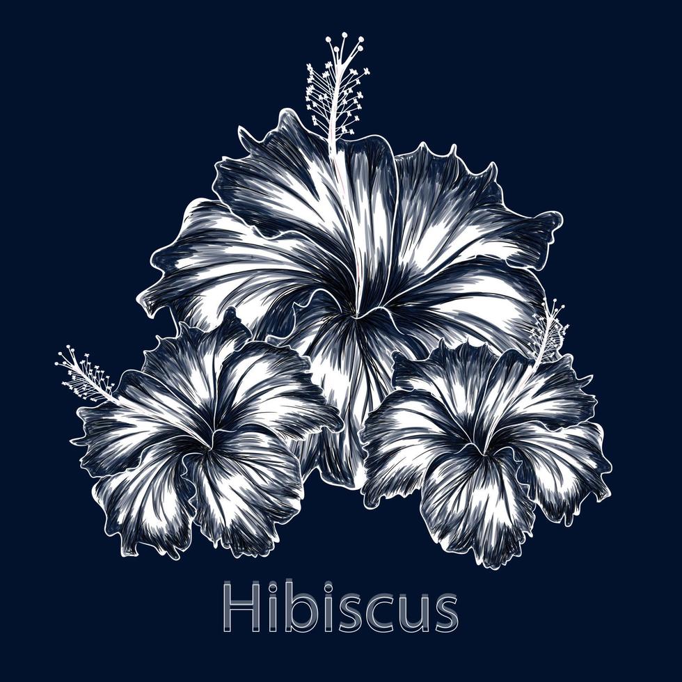 hibiskusblüte dunkelblaue hintergrundfarbe vektorillustration. vektor