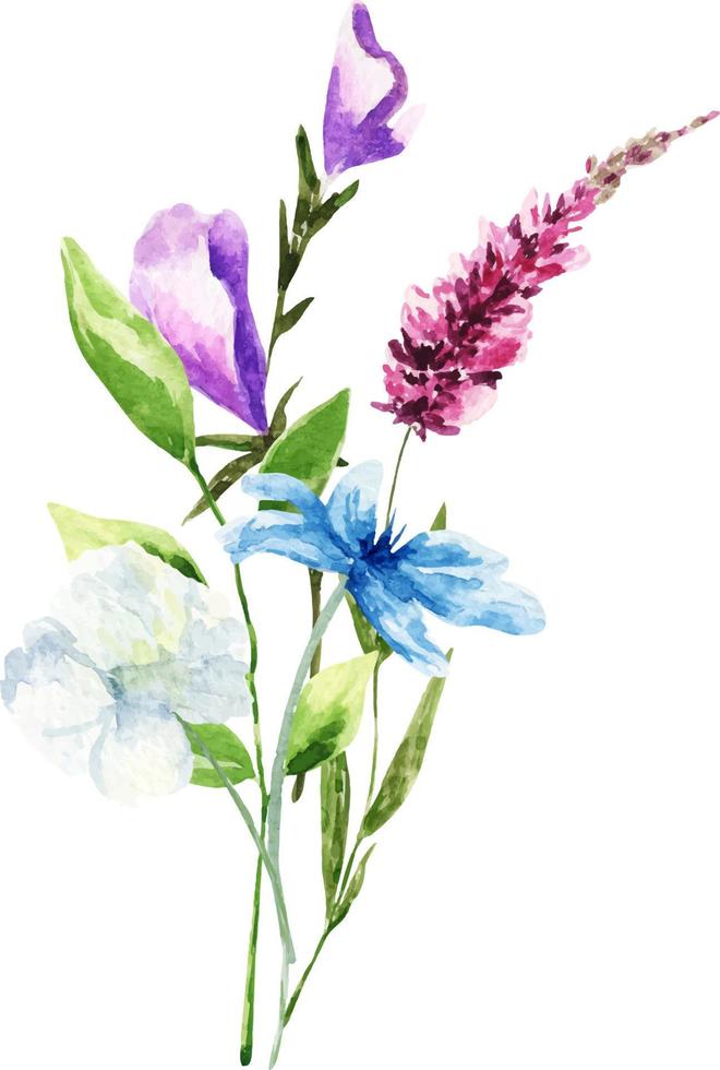 aquarellblumenstrauß aus frühlingsblumen. dekoration isoliert auf weißem hintergrund, blumenstrauß wilder komposition. vektor