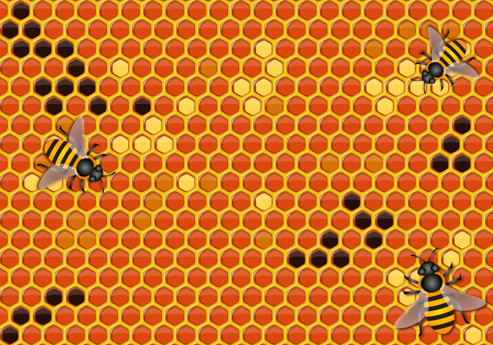 Freier Honig Hintergrund Vektor