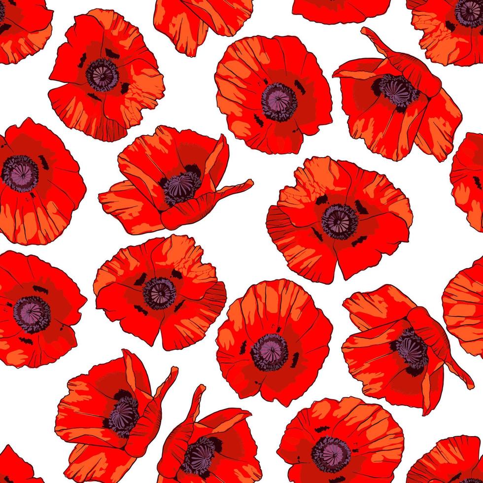 Nahtloses Muster mit handgezeichneten wilden roten Mohnblumen isoliert auf weißem Hintergrund. Gestaltungselement für Textilien, Stoffe, Geschenkpapier oder Tapeten. Vektor-Illustration. vektor