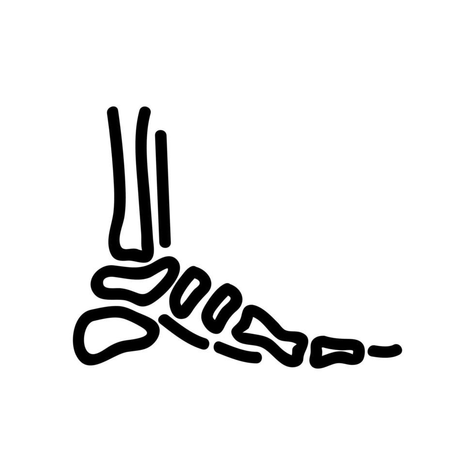 Symbolvektor für Fußknochen. isolierte kontursymbolillustration vektor