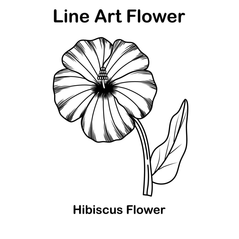 skiss eller linjekonst hibiskus blomma vektor