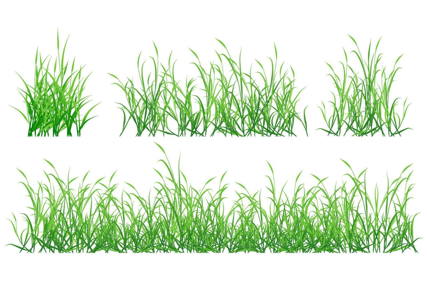 trädgård gräs. gräs gräsmatta vektor
