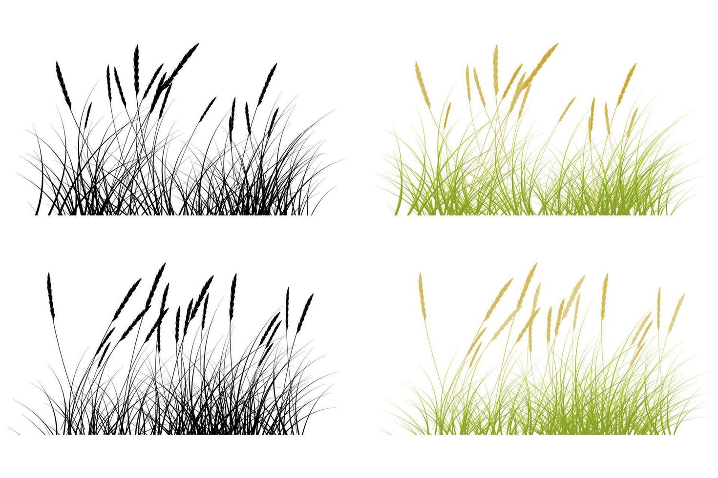 kort gräs, pampas gräs vektor