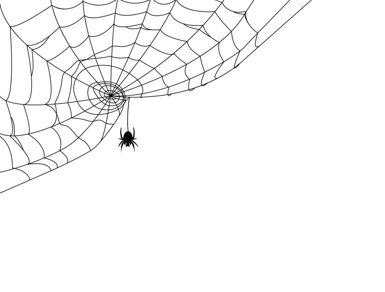 schwarze Spinne und Netz. Gruseliges Spinnennetz von Halloween. Vektor-Illustration vektor