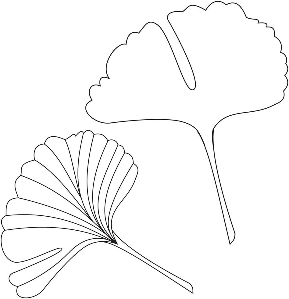 Ginkgo-Biloba-Blatt-Vektorsymbol schwarz-weiß vektor