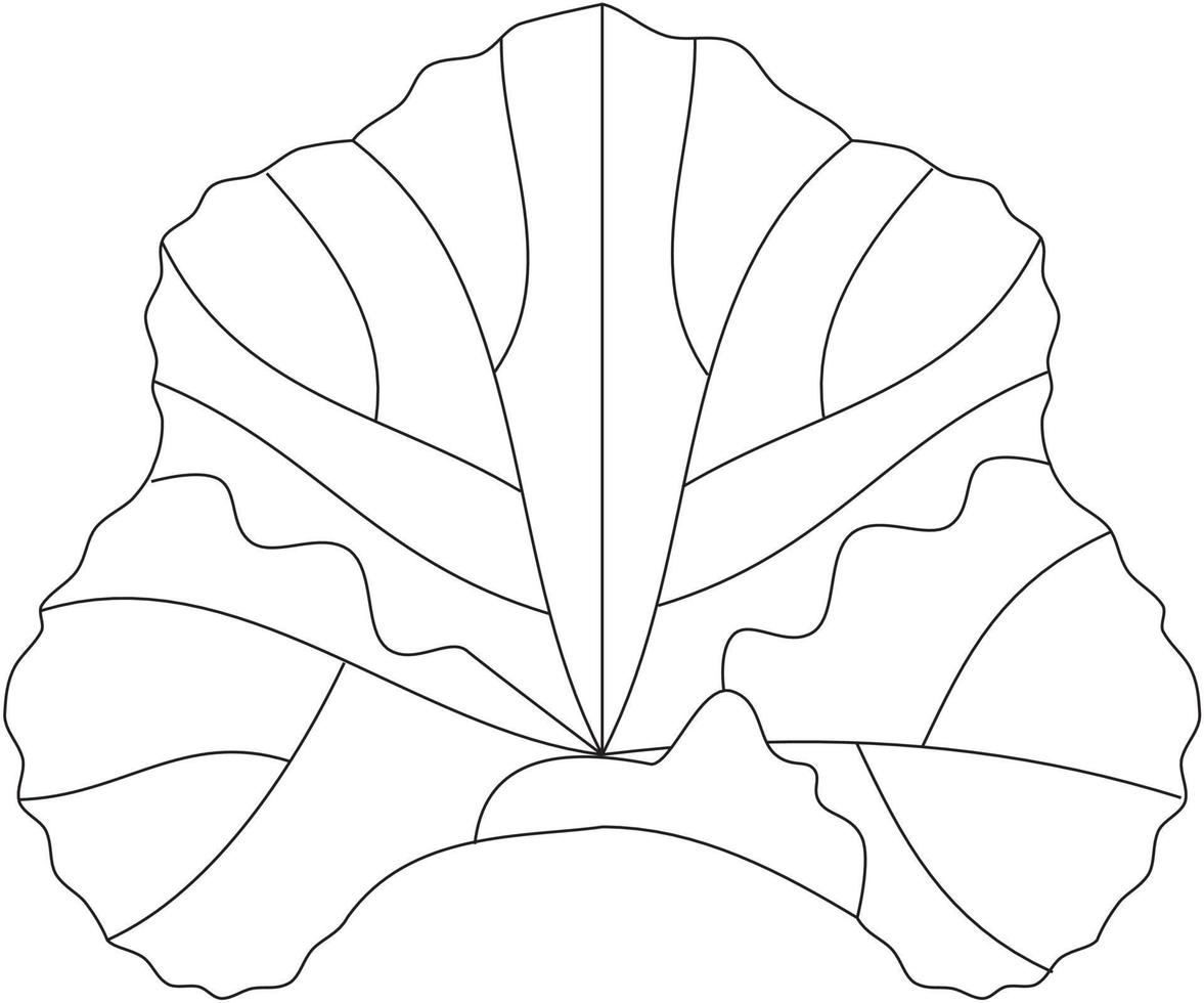 Rheum rhabarbarum Rhabarber-Blatt-Vektorsymbol schwarz-weiß vektor