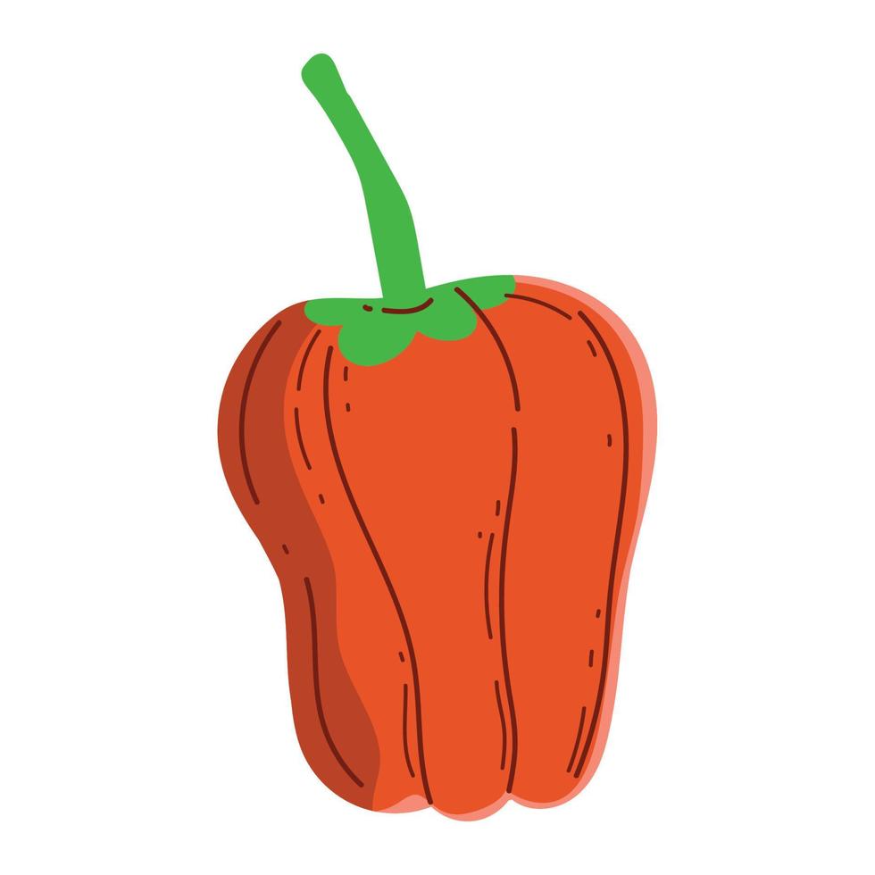röd peppar vegetabiliska ikon vektor
