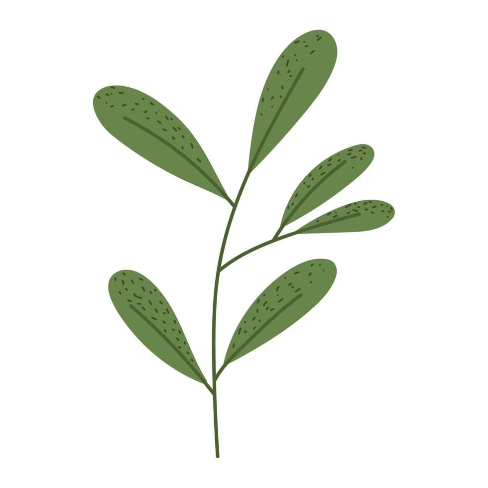 gröna blad lövverk vektor