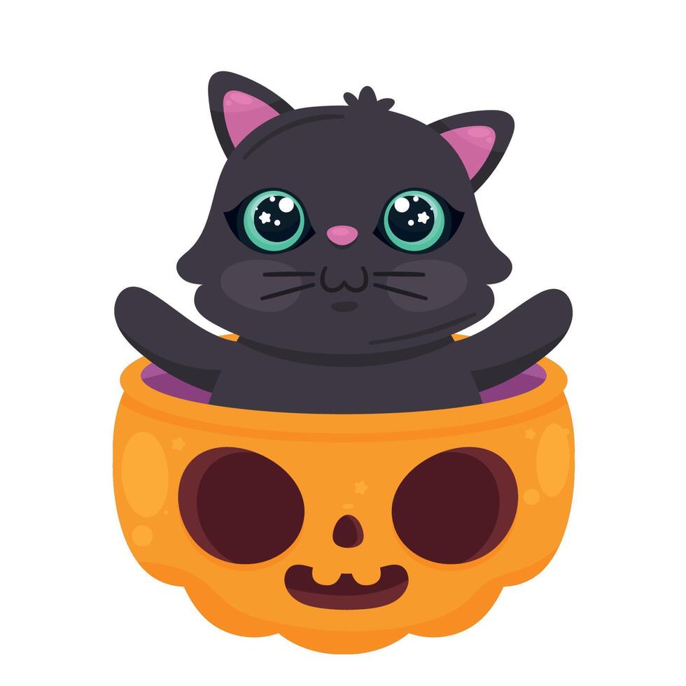 halloween katt i pumpa vektor