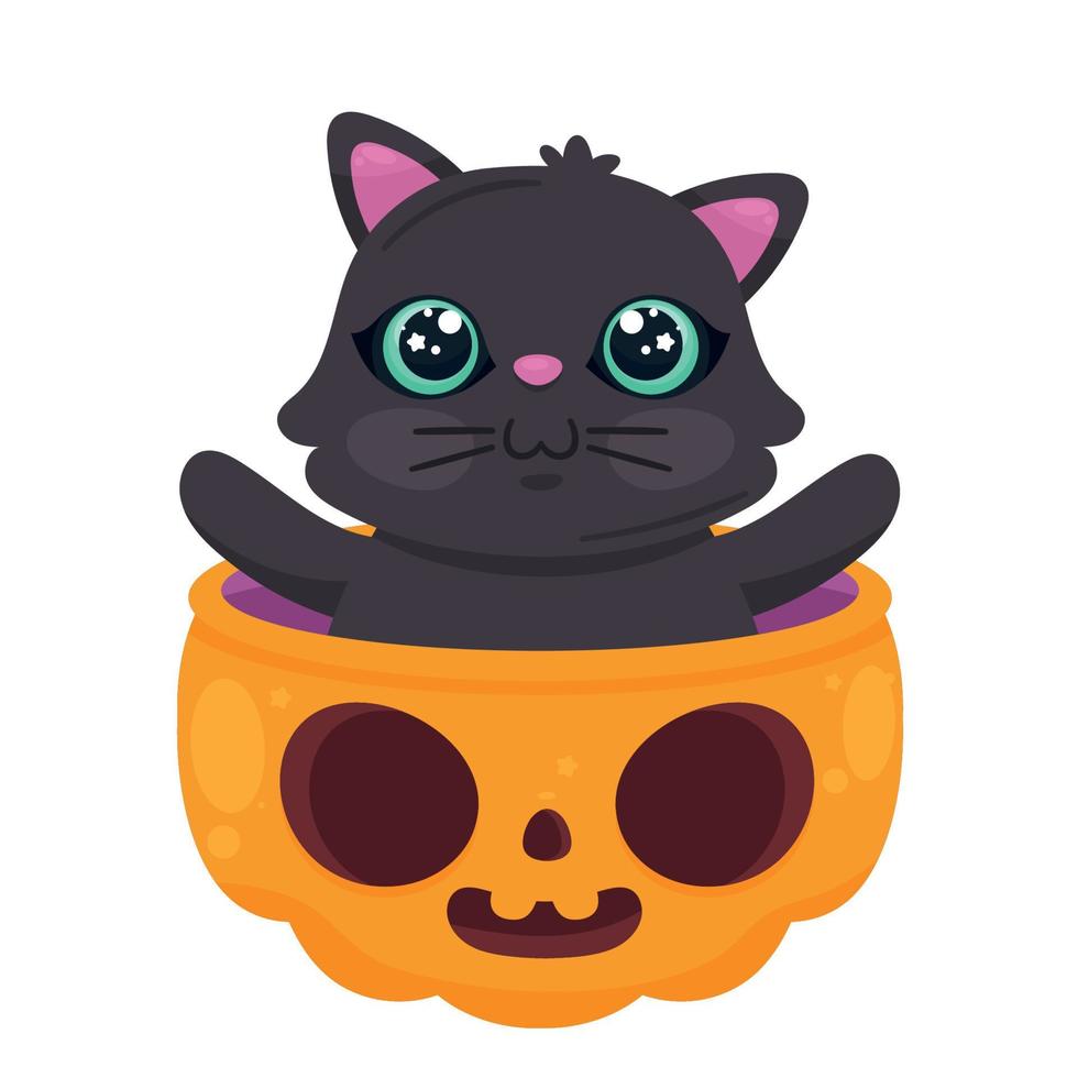 Halloween-Katze im Kürbis vektor