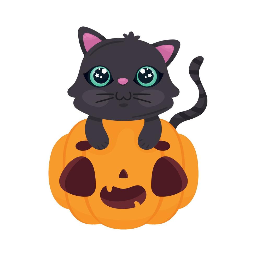 halloween katt och pumpa vektor