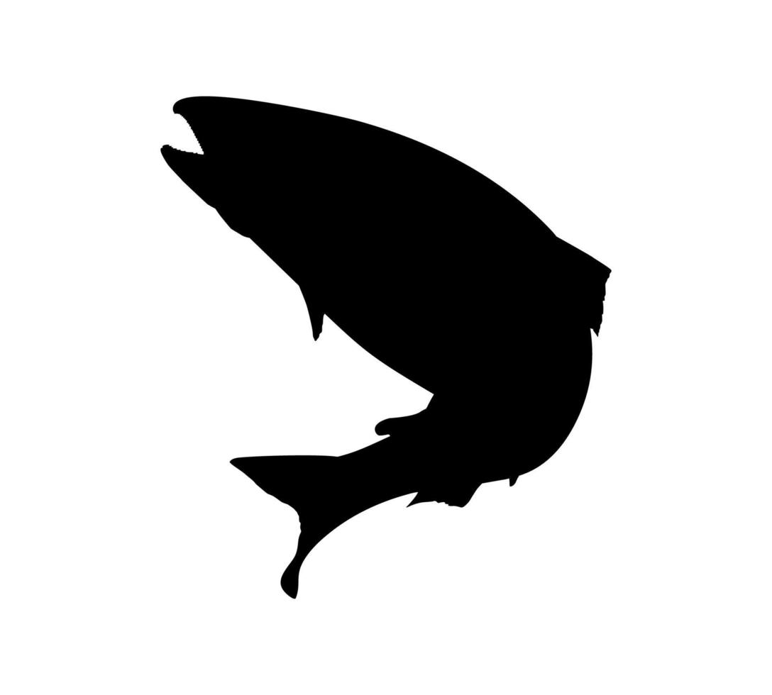 Lachsfischsilhouette für Symbol, Symbol, Logo, Piktogramm, Apps, Website oder Grafikdesignelement. Vektor-Illustration vektor