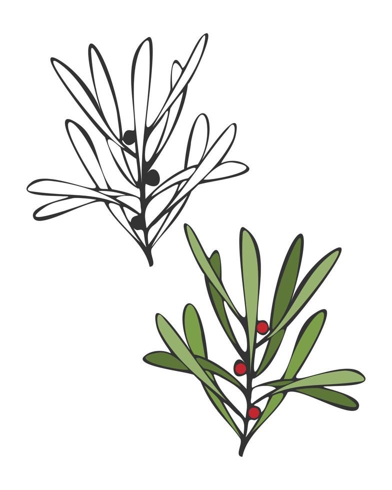Gekritzelzweige mit Beeren. Cranberry. Gliederungs- und Farbgestaltungselement. isoliert, weißer Hintergrund. vektor