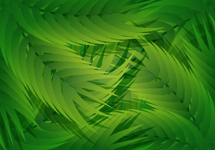 Palm Leaf Liana Hintergrund vektor
