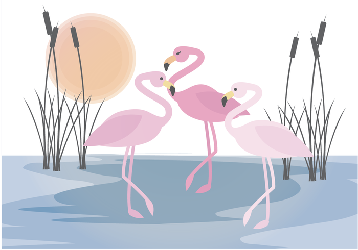 Vector Flamingo Szene